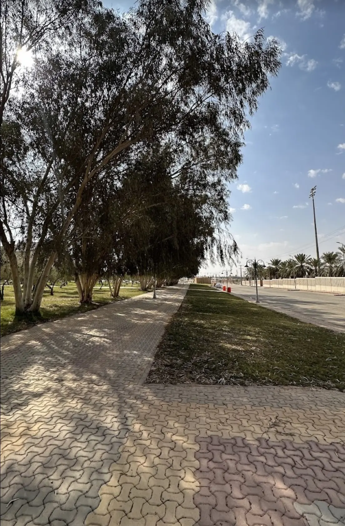 حدائق ومتنزهات الزلفي