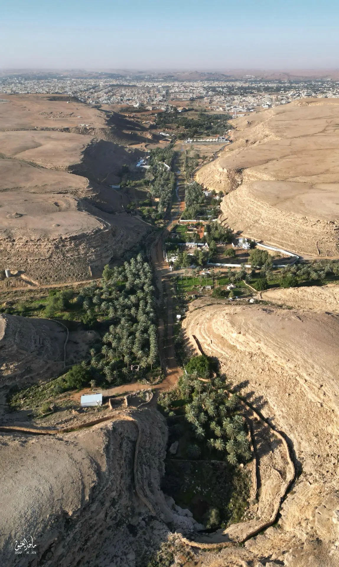 عريعرة